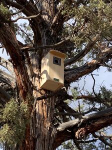 Using Nest Boxes to Support Native Central Oregon Wildlife and Avoid Wildlife Conflicts – Think 