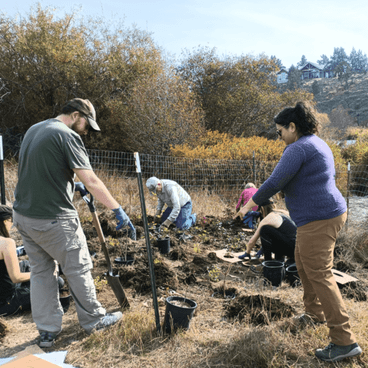 Internships Think Wild Wildlife Hospital and Conservation Center